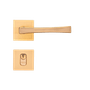 CE -4-